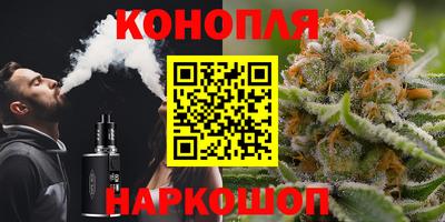 ГАЛЛЮЦИНОГЕННЫЕ ГРИБЫ Камышлов